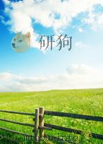 家族与社会  台湾与中国社会研究的基础理念     PDF电子版封面     