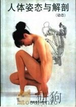 人体姿态与解剖  动态   1998  PDF电子版封面  7535611583  郏宝雄主编 