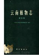 云南植物志  第5卷  种子植物   1991  PDF电子版封面  703001801X  中国科学院昆明植物研究所编著 