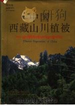 中国西藏山川植被  摄影集   1993  PDF电子版封面  7534515904  徐凤翔摄影、撰文 