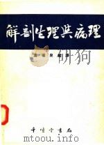 解剖生理与病理   1951  PDF电子版封面    叶橘泉编译 