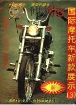 95国际摩托车新款展示  图集   1995  PDF电子版封面  780606012X   