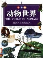 动物世界  赞美大自然的生灵     PDF电子版封面     