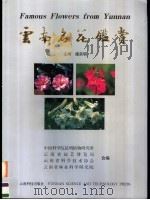 云南名花鉴赏   1999  PDF电子版封面  7541612685  施宗明主编；中国科学院昆明植物研究所等编 