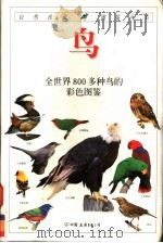 鸟（1998 PDF版）