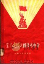 宝丰人民大闹技术革命（1958 PDF版）