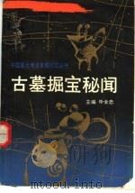 古墓掘宝秘闻   1993  PDF电子版封面  7535408389  毕全忠主编 