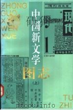 中国新文学图志  上   1996  PDF电子版封面  7020022839  杨义主笔（日）中井政喜，张中良著 