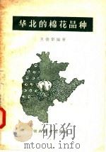 华北的棉花品种   1957  PDF电子版封面  16005·193  王德彰编 