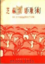 芝麻栽培技术   1957  PDF电子版封面  16005·291  中华人民共和国农业部粮食生产总局编 