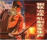 钢铁冶炼轧制安全生产   1975  PDF电子版封面  15171·213  上海市劳动局革命委员会劳动保护组编 