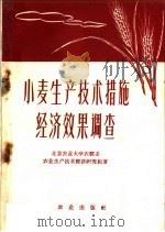 小麦生产技术措施经济效果调查   1959  PDF电子版封面  4144·114  北京农业大学农经系农业生产技术经济研究组著 