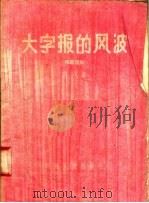 大字报的风波  独幕话剧（1958 PDF版）
