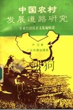 中国农村发展道路研究（1994 PDF版）