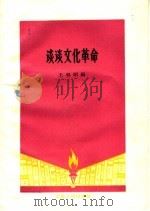 谈谈文化革命   1959  PDF电子版封面  T7102·875  王郁昭编 