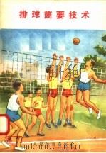 排球简要技术   1958  PDF电子版封面  T7015·688  人民体育出版社编 