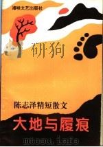 陈志泽精短散文  大地与履痕（1995 PDF版）