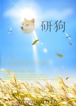 中国十大恩仇传奇  驰骋人间的激情     PDF电子版封面     