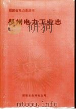 泉州电力工业志   1999  PDF电子版封面    福建省泉州电业局 