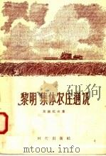 “黎明”集体农庄通讯（1995 PDF版）