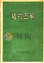 植物图解   1959  PDF电子版封面  13109·22  王凤翱编译 