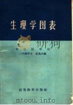 生理学图表   1959  PDF电子版封面  13010·641  安徽医学院，三年级学生宋兆友编 