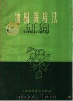 油桐栽培法   1960  PDF电子版封面  16119·418  浙江省衢县油茶试验场编著 