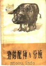 猪的配种与分娩   1960  PDF电子版封面  16091·160  富绵业编 
