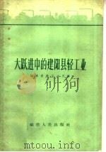大跃进中的建阳县轻工业（1960 PDF版）