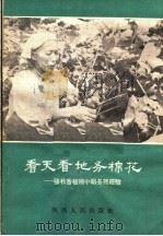 看天看地务棉花  张秋香植棉小组务棉经验   1963  PDF电子版封面  T16094·281  张秋香口述；陈作枢等整理 