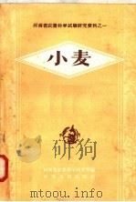 小麦   1958  PDF电子版封面  16105·97  河南省农业科学研究院编 