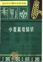 小麦栽培知识（1964 PDF版）