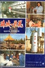 珠城一枝花  崛起的蚌埠乡镇企业（ PDF版）