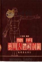简明艺用人体解剖图  第4版   1953  PDF电子版封面    王曼硕编绘 