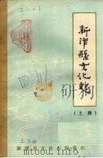 新津县文化志  上下（ PDF版）