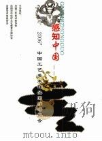 感知中国  2006'中国工艺美术作品国际博览会     PDF电子版封面     