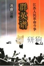 江苏人民革命斗争群英谱  沛县分卷（1999 PDF版）