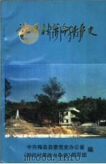 谢田村革命斗争史   1990  PDF电子版封面    中共梅县县委党史办公室，《谢田村革命斗争史》编写小组 