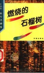 于洪乔散文精萃  燃烧的石榴树   1994  PDF电子版封面  7800776573   