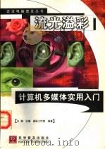 流光溢彩  计算机多媒体实用入门   1998  PDF电子版封面  7110045129  王潜主编；晶辰工作室编著 