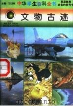 文物古迹   1996  PDF电子版封面  7540204915  刘以林总主编；李立群本册主编 