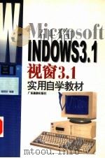 Microsoft WINDOWS3.1视窗3.1实用自学教材   1997  PDF电子版封面  7805217696  杨明钦编著 