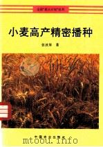 小麦高产精密播种（1995 PDF版）