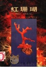 红珊瑚（1993 PDF版）