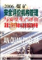 安全评价机构管理与安全生产评价及重在责任事故认定处理实施手册  第2卷     PDF电子版封面    张明林主编 