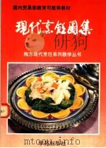 现代烹饪图集  天厨烹调学校教学菜精选（1993 PDF版）