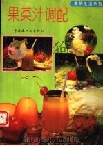 果菜汁调配  摄影集（1996 PDF版）