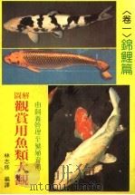 图解观赏用鱼类大观  卷1  锦鲤篇（ PDF版）