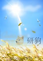 社会奇观   1995.6  PDF电子版封面    赵勇先，朱士骧主编 