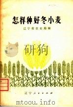怎样种好冬小麦   1974  PDF电子版封面  15090·23  辽宁省农业局编 